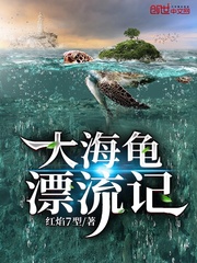 大海龟漂流记