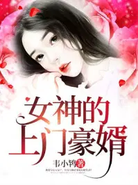 女神的上门豪婿(又名:女神的超级赘婿,主角:赵旭)